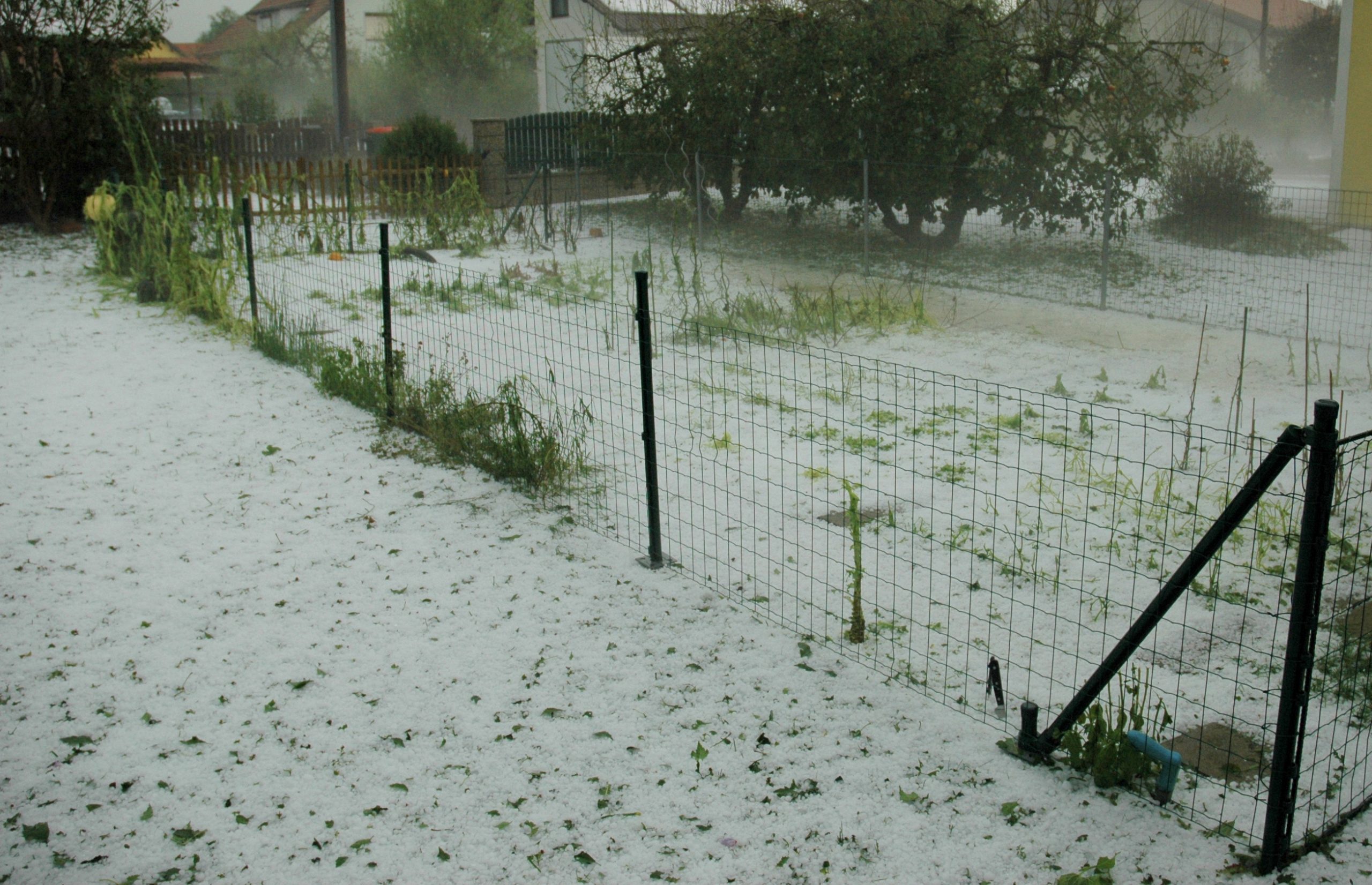 Schweres Hagelunwetter 2009 | Wetterzeugen